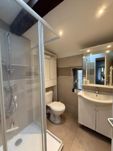 une salle de bain avec toilettes, douche et lavabo dans l'établissement Charmant T2 rénovée en centre ville Ajaccio, à Ajaccio