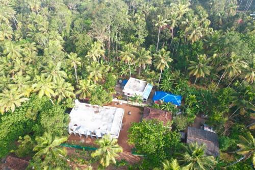 an aerial view of a resort in the jungle at Munroe Coconut Homestay in Munroe Island