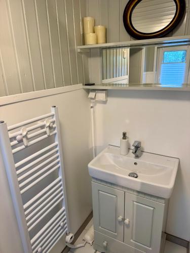 a bathroom with a sink and a mirror at Meridiamus 2 - Ferienhäuschen in Boddennähe in Ribnitz-Damgarten