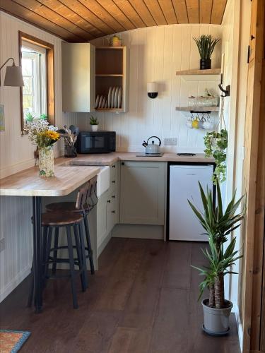Dapur atau dapur kecil di Lodeside Glamping