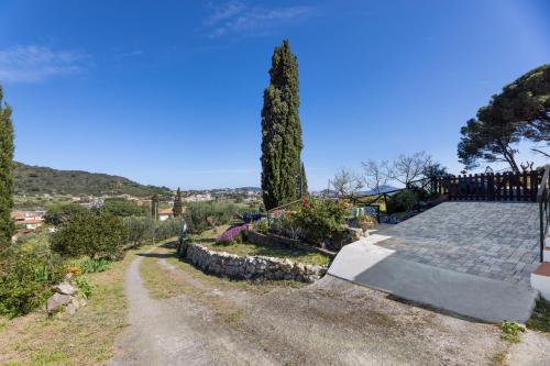 a road leading up to a house with a tree at Fiori di Mare in Le Foci