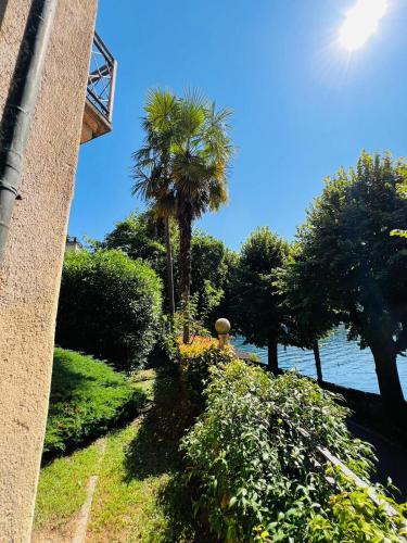 a view of a garden with palm trees and the water at Appartamento Motta in Orta San Giulio