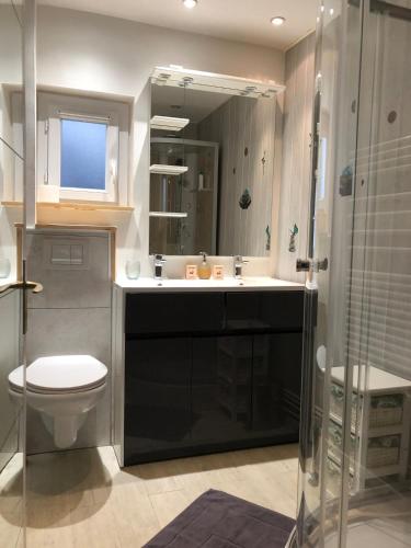 une salle de bain avec toilettes, lavabo et douche dans l'établissement Le Cozy near center train station & SciencesPo, à Dijon
