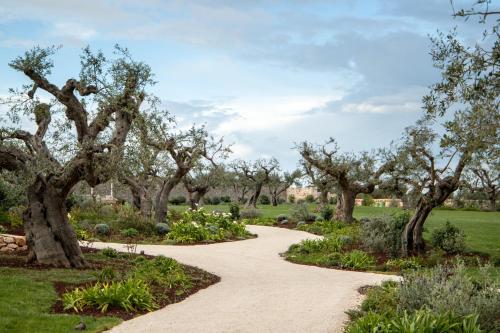 a walkway through a garden with trees at Trulli Damari in Locorotondo