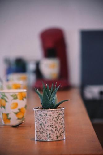 Photo de la galerie de l'établissement La petite fontainoise, à Grenoble