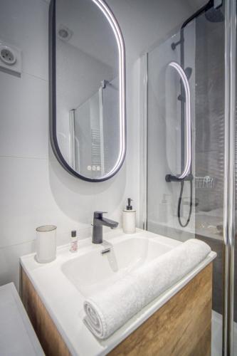 une salle de bain avec un lavabo et un miroir dans l'établissement Le félix 1, à Grenoble
