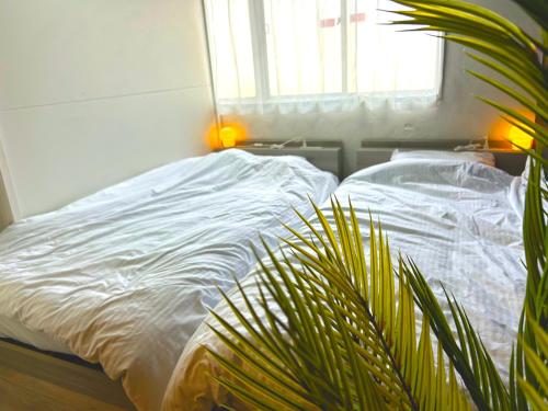 a white bed with a plant next to a window at MM Stay Takamatsu Kawaramachi in Takamatsu
