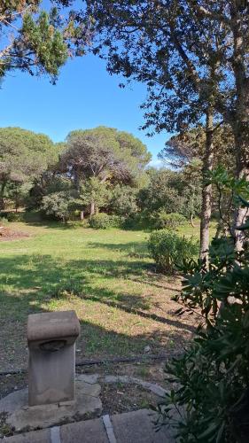 a park with a bench in the middle of a field at Casa Leone in Stintino