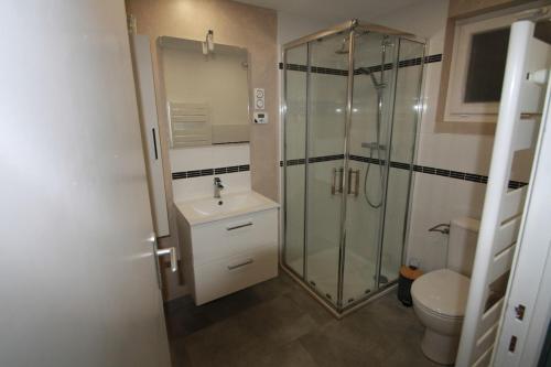 une salle de bain avec une douche, un lavabo et des toilettes dans l'établissement Appartement rénové, à Beaune