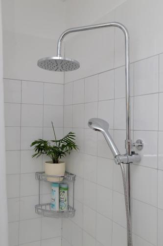 Vicina Summer Apartments 2