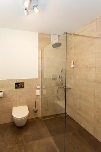a bathroom with a toilet and a glass shower at Hotel Waldblick in Schenkenzell