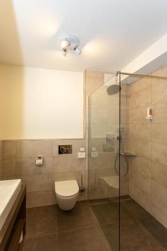 a bathroom with a toilet and a glass shower at Hotel Waldblick in Schenkenzell