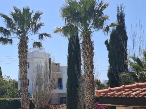 a group of palm trees in front of a building at Sunset Green 01 in Paphos City
