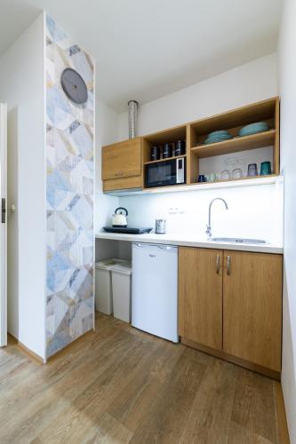 a kitchen with a sink and wooden cabinets at VOUSATÁ DÁMA - PS3 - Parking free in Prague