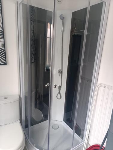 une douche avec une porte vitrée à côté des toilettes dans l'établissement Grand studio dans maison alsacienne, à Eschentzwiller