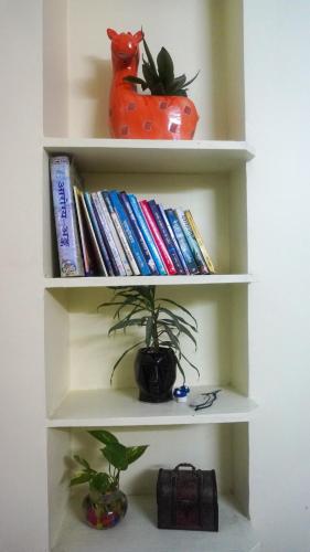 a book shelf with a potted plant and books at Lakeview Flat-Dargah,Pushkar 10mins away in Ajmer