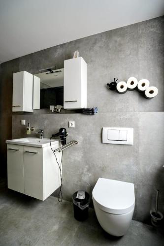 a bathroom with a toilet and a sink at Ferienwohnung Zur Wolfskehln in Viereth-Trunstadt