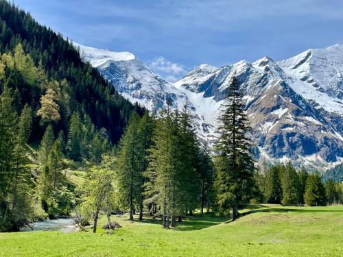 a green field with trees and mountains in the background at Casa Montana in Niedernsill