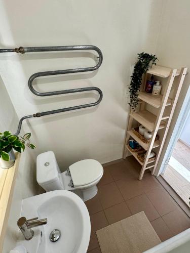a bathroom with a toilet and a sink at Rokiskis- jaukus butas su balkonu in Rokiškis