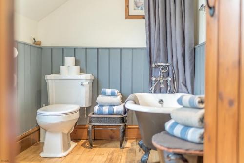 a bathroom with a white toilet and a sink at Perthi-Uchaf in Cwm-y-glo