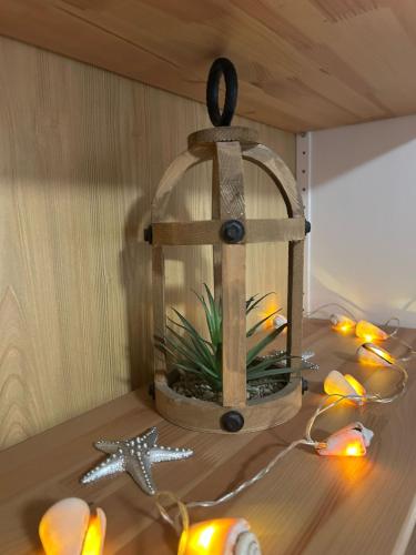 a bird cage with flowers and lights on a table at Ferienwohnung Ritthoff Perlebucht - mit Strandkorb am Meer und kostenloser Eintritt ins Schwimmbad in Büsum