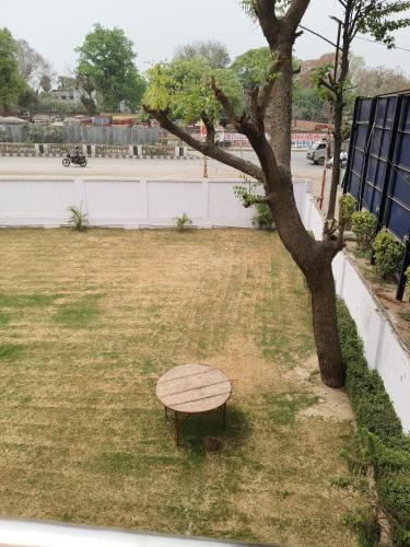 a bench sitting in the grass next to a tree at Sri Rameshwar Paradise in Rāmnagar