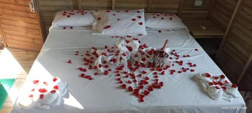 Fotografie z fotogalerie ubytování Hotel Inversiones Napoles v destinaci Doradal