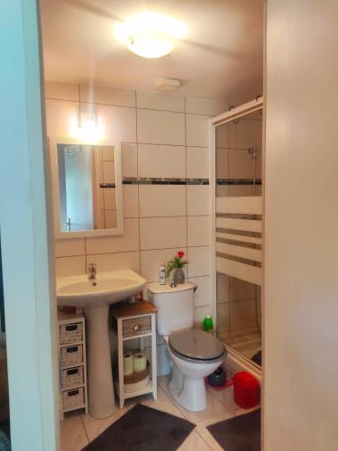 une salle de bain avec toilettes, lavabo et douche dans l'établissement Une petite maison dans un quartier calme dans la zone verte proximité tous commerces, à Carpentras