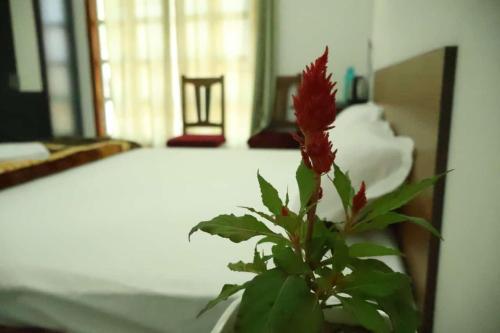 Postel nebo postele na pokoji v ubytování Mohul- A Tribal Hut,Santiniketan