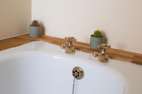 a bathroom sink with two potted plants on a shelf at Half Moon House - Timeless Charm with Sea Views in Scarborough
