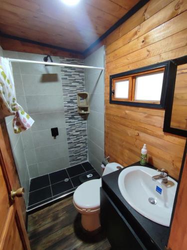 a bathroom with a sink and a toilet and a shower at Casa Jaguar Neusa in Tausa Viejo