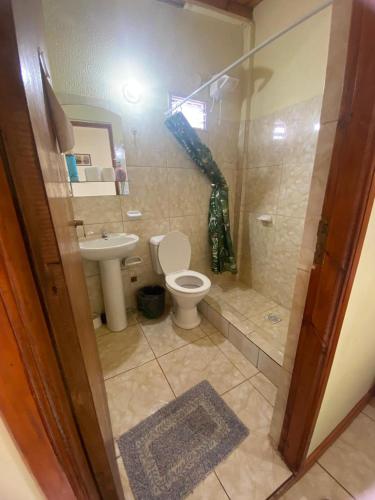 a bathroom with a toilet and a shower and a sink at Apartamentos Centricos Puerto Iguazu in Puerto Iguazú