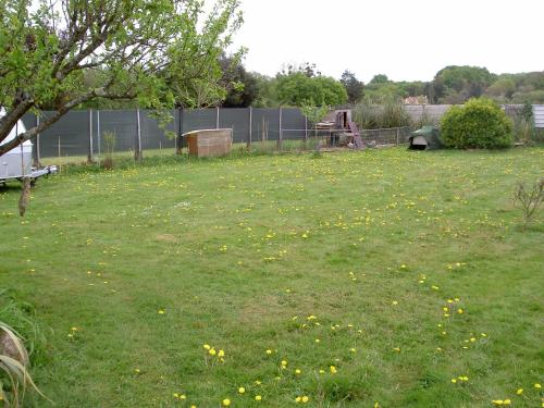 un champ avec des fleurs jaunes dans l'herbe dans l'établissement Chez Didier Emplacements tentes et Camping cars, à Saint-Pavace