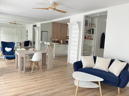 Paris 42m Studio plus terrace