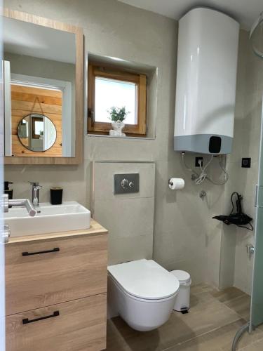 a bathroom with a toilet and a sink and a mirror at Mokrogorski konaci in Mokra Gora