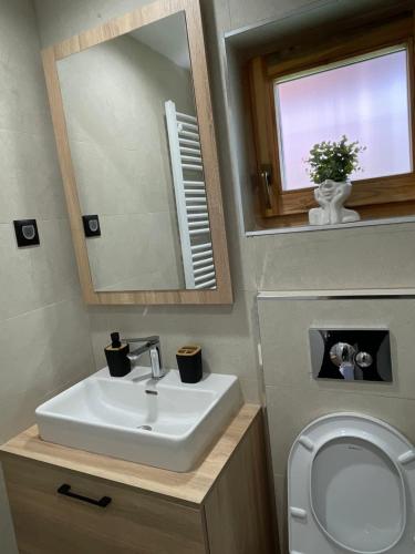 a bathroom with a sink and a mirror and a toilet at Mokrogorski konaci in Mokra Gora