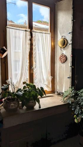 una ventana con dos macetas en un alféizar en Le Val du Roy, en Joinville
