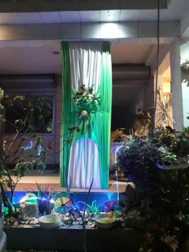a room with a green curtain and some plants at Eva Hotel in Douala