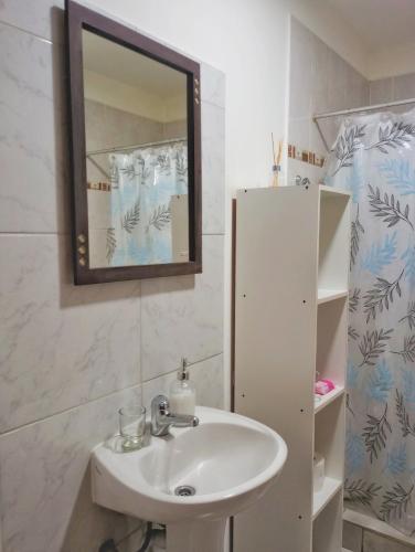 a bathroom with a sink and a mirror at Departamento Olivia in Ushuaia