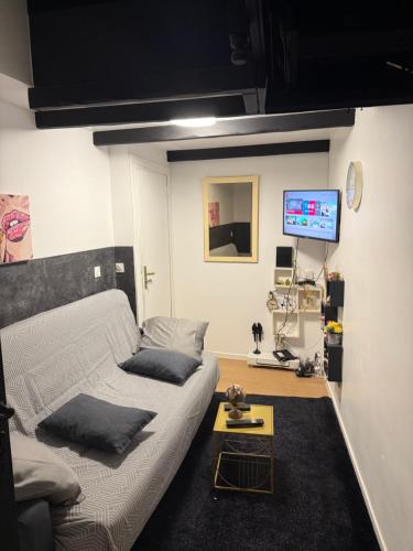 un salon avec un lit et une télévision dans l'établissement Logements jacuzzi silencieux, à Deuil-la-Barre