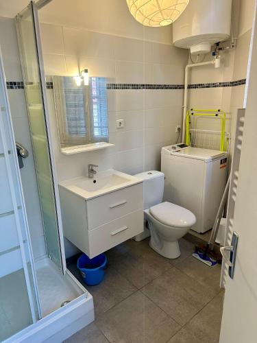 une salle de bain avec toilettes, lavabo et douche dans l'établissement Un studio sympa en centre-ville rue du camas, à Marseille