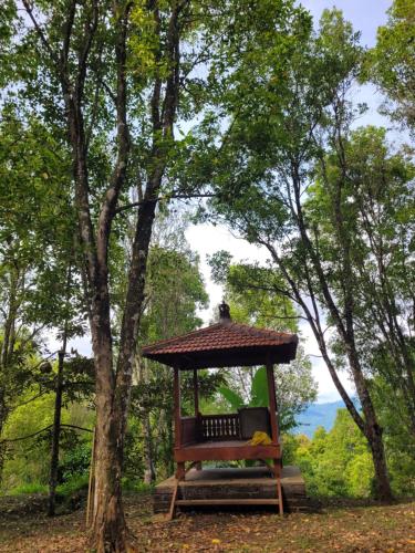 a gazebo in a park with a tree at D'Langun Bali in Munduk