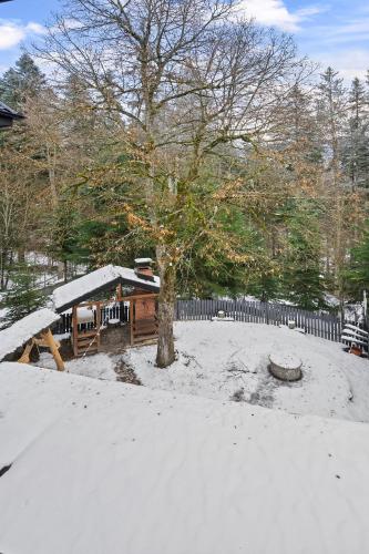 a yard covered in snow with a fence and a tree at SEVEN Apartments in Predeal