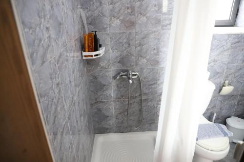 a bathroom with a shower with a toilet and a sink at Valley View Home Drobonik in Drobonik