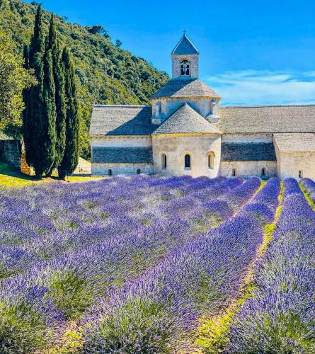 a lavender field with a church in the background at Le Beldi, Mas de Village 1870 in Saint-Saturnin-lès-Avignon