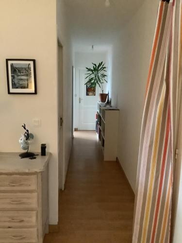 un couloir menant à une chambre avec un bureau et une plante dans l'établissement Appartement Pontivy, à Pontivy