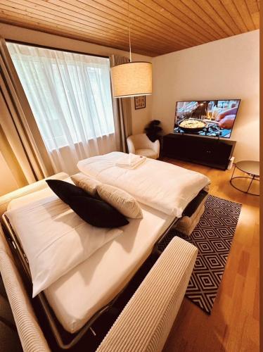a bedroom with a large bed and a flat screen tv at Gartenoase by Greatlifestay in Ennetbürgen