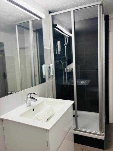 a bathroom with a sink and a shower at APT. STONE-LODGE in Salzburg
