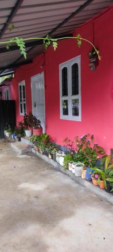 a red house with potted plants in front of it at Royal villa Homestay in Munnar