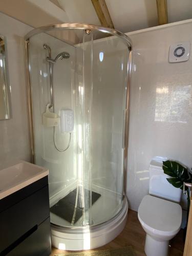 a shower in a bathroom with a toilet and a sink at The Garden Room in Spittal
